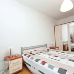 Rent 2 bedroom apartment of 58 m² in Prague