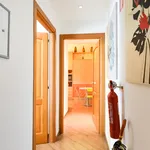 Rent 1 bedroom apartment in Rome