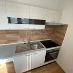 Rent 2 bedroom apartment of 55 m² in Ostrava