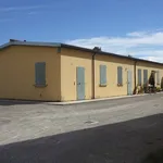 Affitto 3 camera appartamento di 65 m² in Carpi