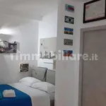 Rent 1 bedroom apartment of 40 m² in Turin