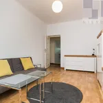 Rent 2 bedroom apartment of 49 m² in Polesie