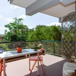 Rent 5 bedroom apartment in Rome