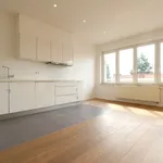 Rent 2 bedroom apartment in Ixelles