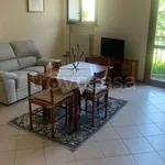 Rent 2 bedroom apartment of 60 m² in Treviolo