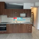 Rent 1 bedroom apartment in Ostrava