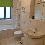 Rent 1 bedroom apartment of 50 m² in Erfurt