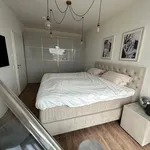 Miete 1 Schlafzimmer wohnung von 133 m² in Dusseldorf