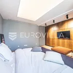 Rent 3 bedroom apartment of 138 m² in Zagreb