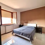 Rent 3 bedroom apartment of 80 m² in Viterbo