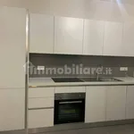 Affitto 1 camera appartamento di 55 m² in Bologna