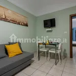 Rent 1 bedroom apartment of 39 m² in Turin