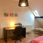 Rent a room in brussels