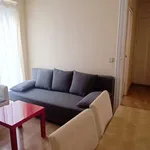 Rent 1 bedroom apartment of 55 m² in madrid