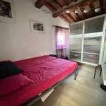 Rent 2 bedroom apartment of 28 m² in Siena