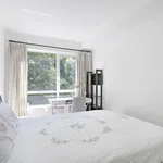 Rent 1 bedroom apartment in Montreal