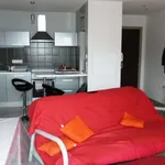 Rent 2 bedroom apartment of 47 m² in Baraqueville