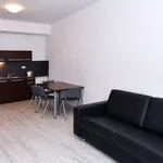 Rent 2 bedroom apartment of 45 m² in Brno