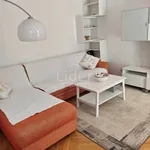 Rent 1 bedroom apartment of 50 m² in Grad Rijeka