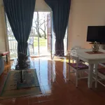 Rent 7 bedroom house of 130 m² in Terracina