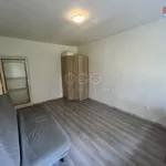 Pronajměte si 1 ložnic/e byt o rozloze 32 m² v Ostrava