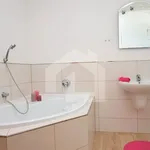 Pronajměte si 3 ložnic/e byt o rozloze 130 m² v Homole