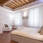 Rent 1 bedroom apartment in Florence