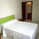 Rent a room in cordoba