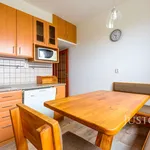 Rent 3 bedroom apartment of 111 m² in Kunovice