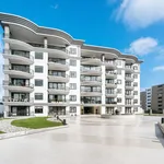 Rent 1 bedroom apartment in Auckland