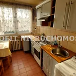 Rent 3 bedroom apartment of 55 m² in Łódź