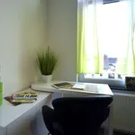 Miete 1 Schlafzimmer wohnung von 26 m² in Raunheim