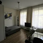 Rent 1 bedroom apartment of 30 m² in 's-Gravenhage