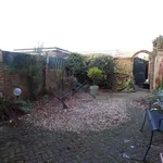 Rent 3 bedroom house in Ringwood