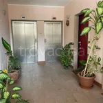 Rent 2 bedroom apartment of 50 m² in Milano