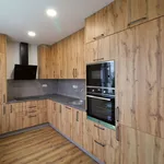 Rent 2 bedroom apartment of 54 m² in Plzeň