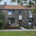 Rent 4 bedroom house of 105 m² in Geleen-Centrum