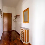 Rent 2 bedroom apartment of 50 m² in Novara