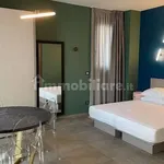 Rent 1 bedroom apartment of 30 m² in Turin