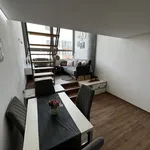 Rent 2 bedroom apartment of 41 m² in Zlín