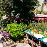 Rent 1 bedroom apartment in Guanajuato