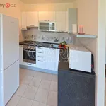 Rent 3 bedroom apartment in Beroun