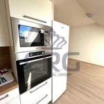 Rent 4 bedroom apartment of 92 m² in Jinačovice