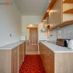 Rent 3 bedroom apartment of 54 m² in Brno