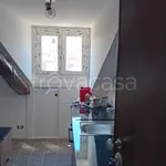 Rent 1 bedroom apartment of 30 m² in Torino