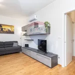 Rent 2 bedroom apartment of 70 m² in Torino