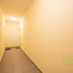 Rent 2 bedroom apartment of 39 m² in Capital City of Prague