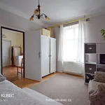 Rent 1 bedroom apartment in Tábor