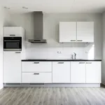 Huur 1 slaapkamer appartement van 41 m² in Delft