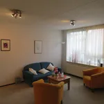 Rent 1 bedroom apartment of 45 m² in Den